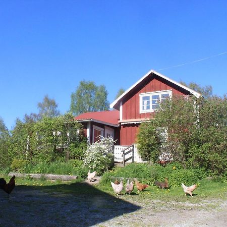 Boende Naera Romme Alpin Och Andra Friluftsaktiviteter I Dalarna Smedjebacken Exteriér fotografie