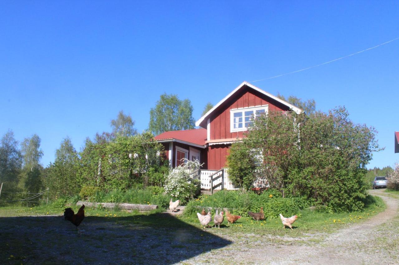 Boende Naera Romme Alpin Och Andra Friluftsaktiviteter I Dalarna Smedjebacken Exteriér fotografie