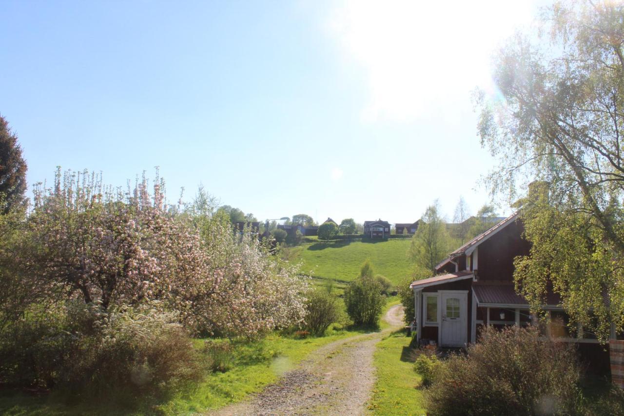 Boende Naera Romme Alpin Och Andra Friluftsaktiviteter I Dalarna Smedjebacken Exteriér fotografie